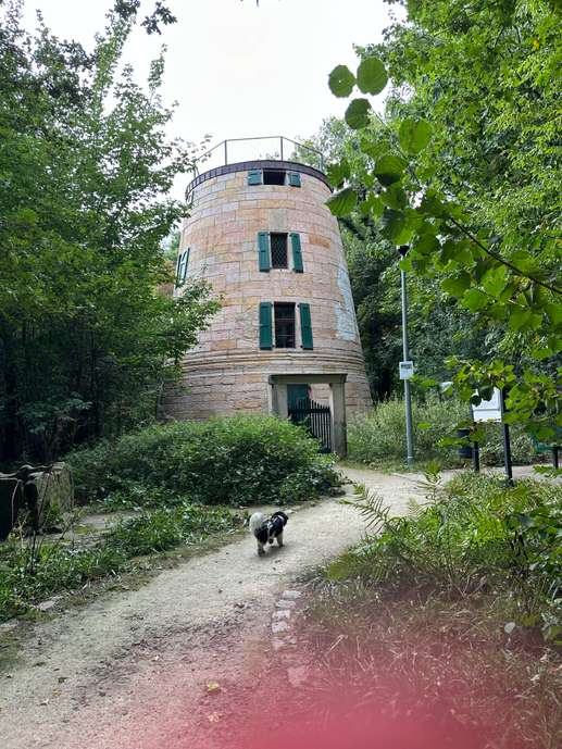 Een foto toegevoegd aan een locatie