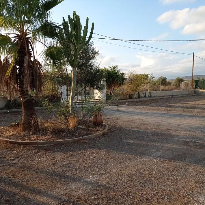 El Bardalet