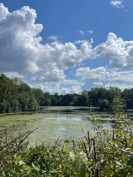 Een foto toegevoegd aan een locatie