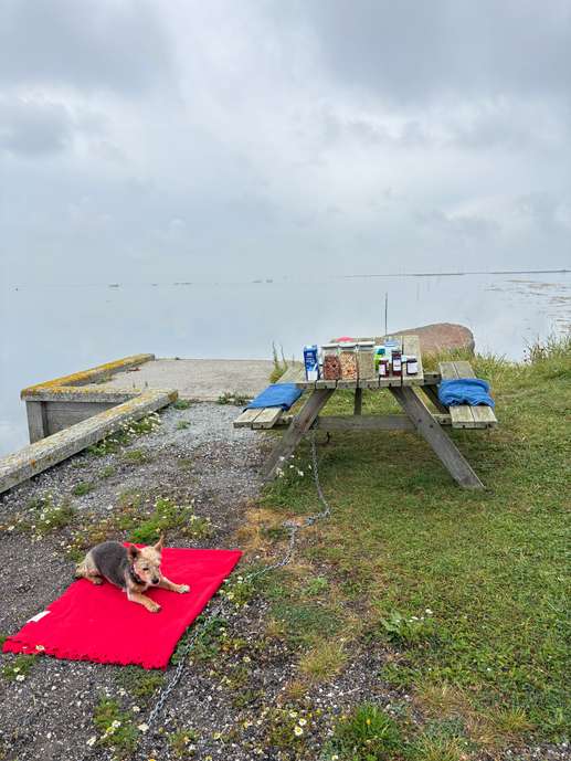 Een foto toegevoegd aan een locatie