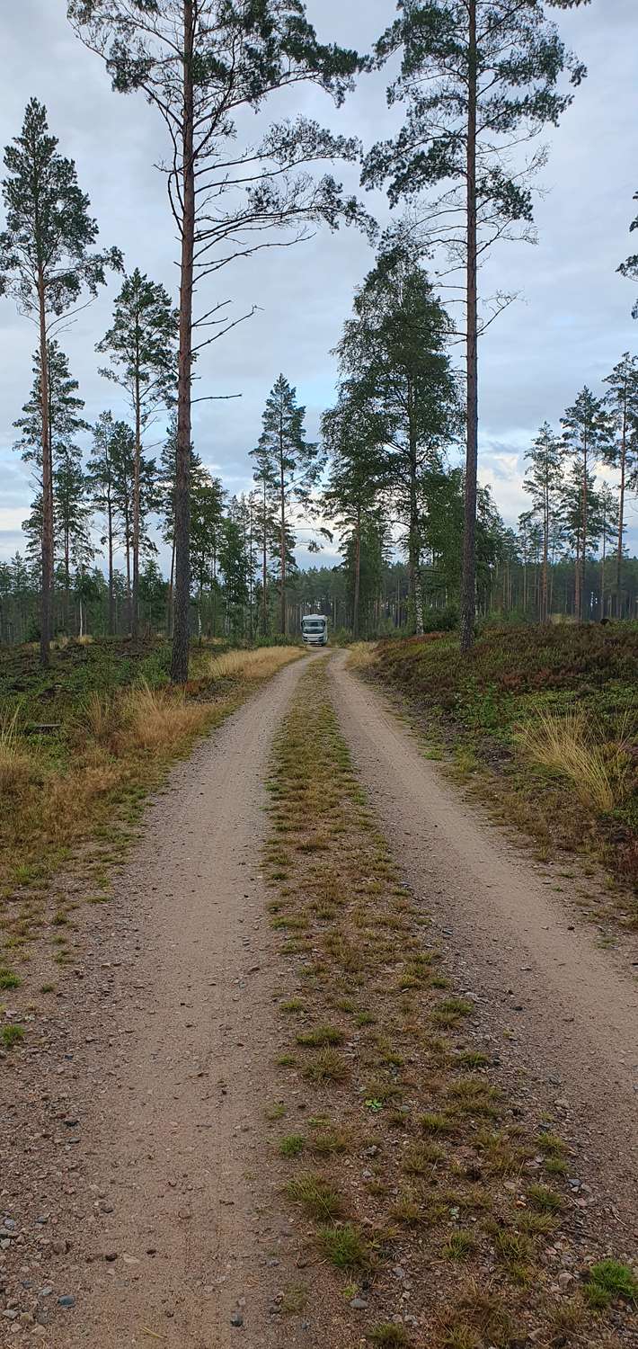 Wildkampeerplek
