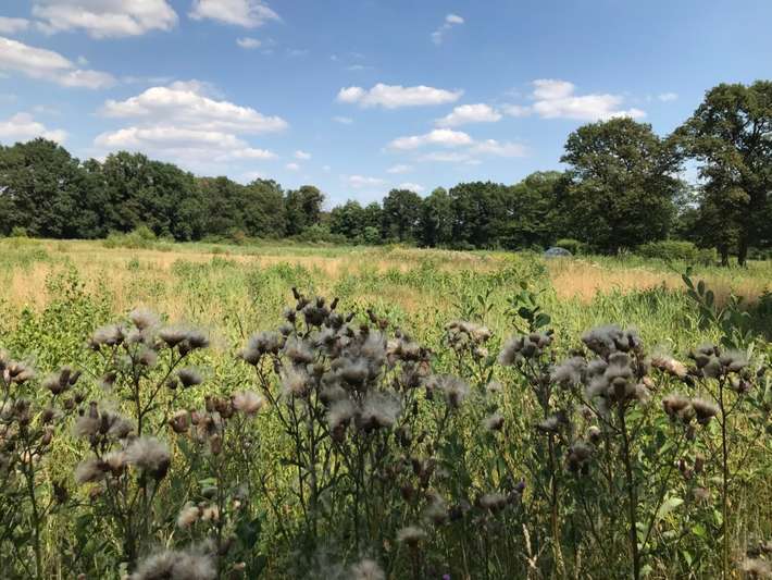 Landgoed De Zonnebloem