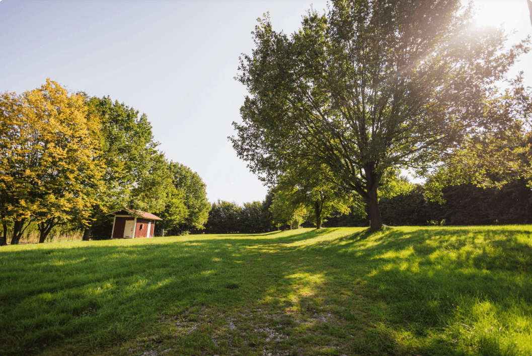 Amaron Camping & Resort