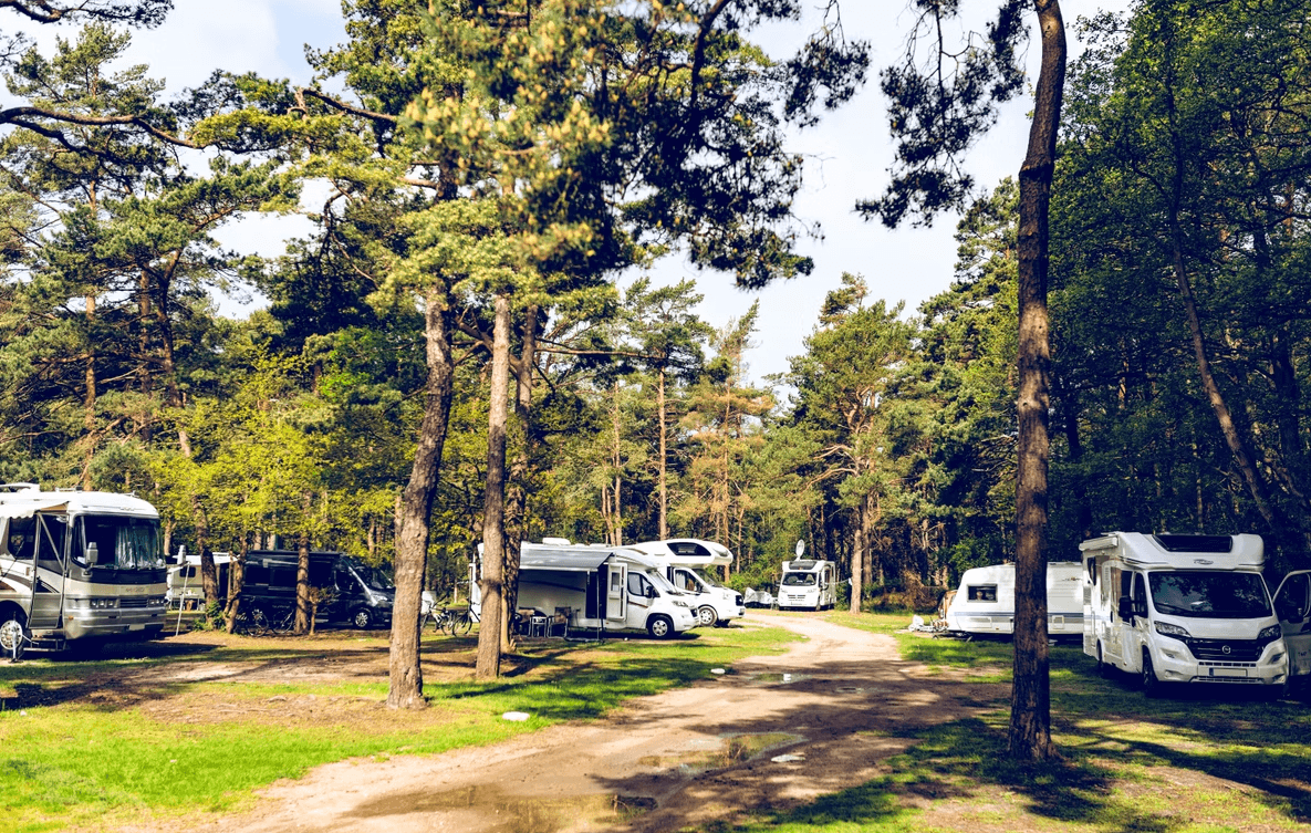 Regenbogen Suhrencamp