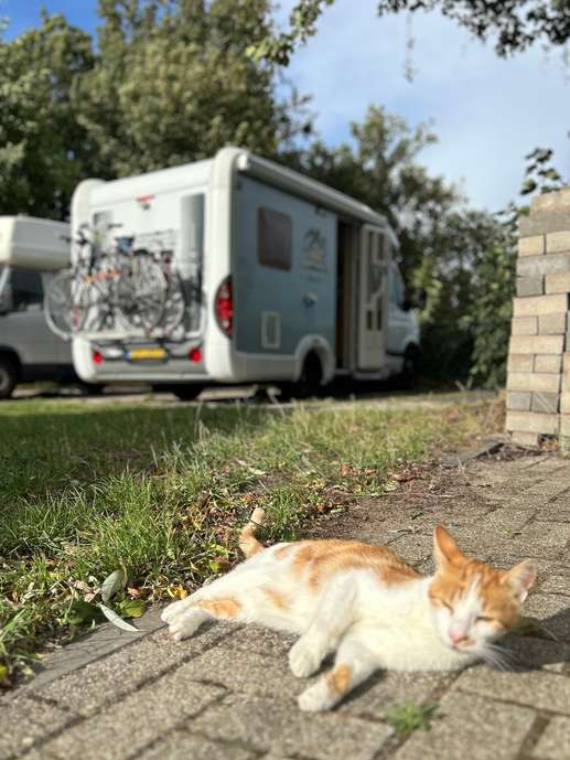 Een foto toegevoegd aan een locatie