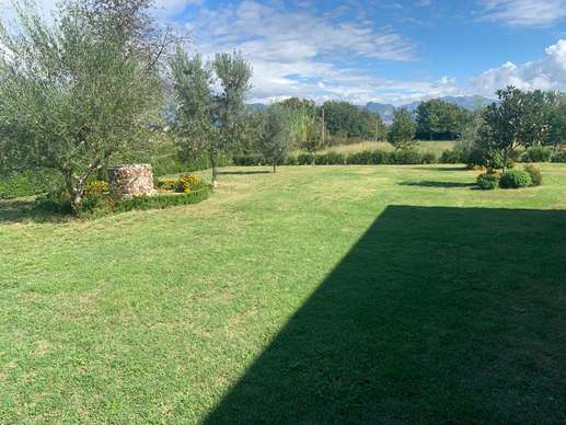 Added a photo to a location