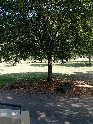 Added a photo to a location