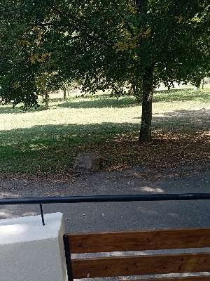 Added a photo to a location