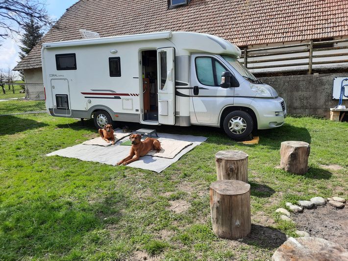 Wolke7.dog - camperspot