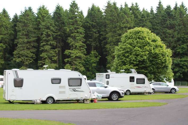 Gosford Forest Park 