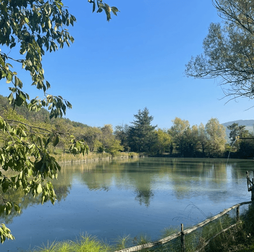 Added a photo to a location