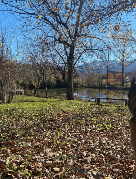 Added a photo to a location