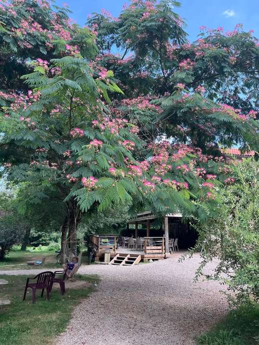 Added a photo to a location