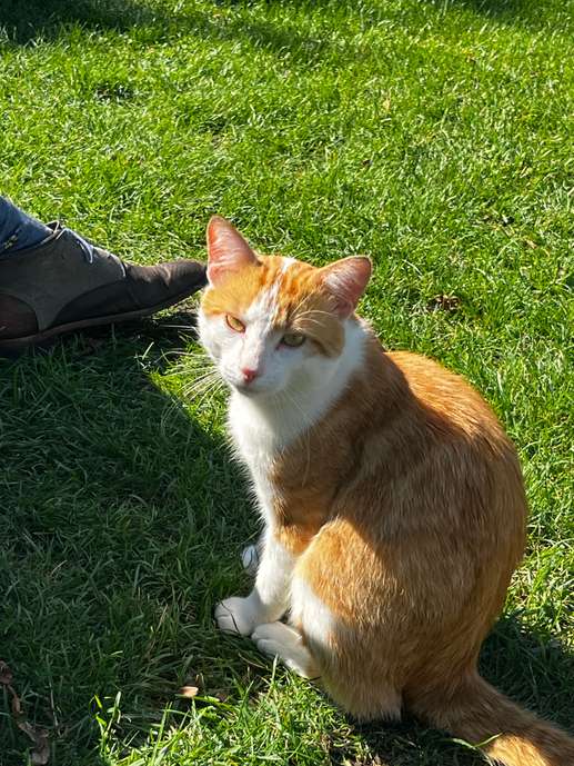 Een foto toegevoegd aan een locatie