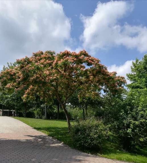 Een foto toegevoegd aan een locatie