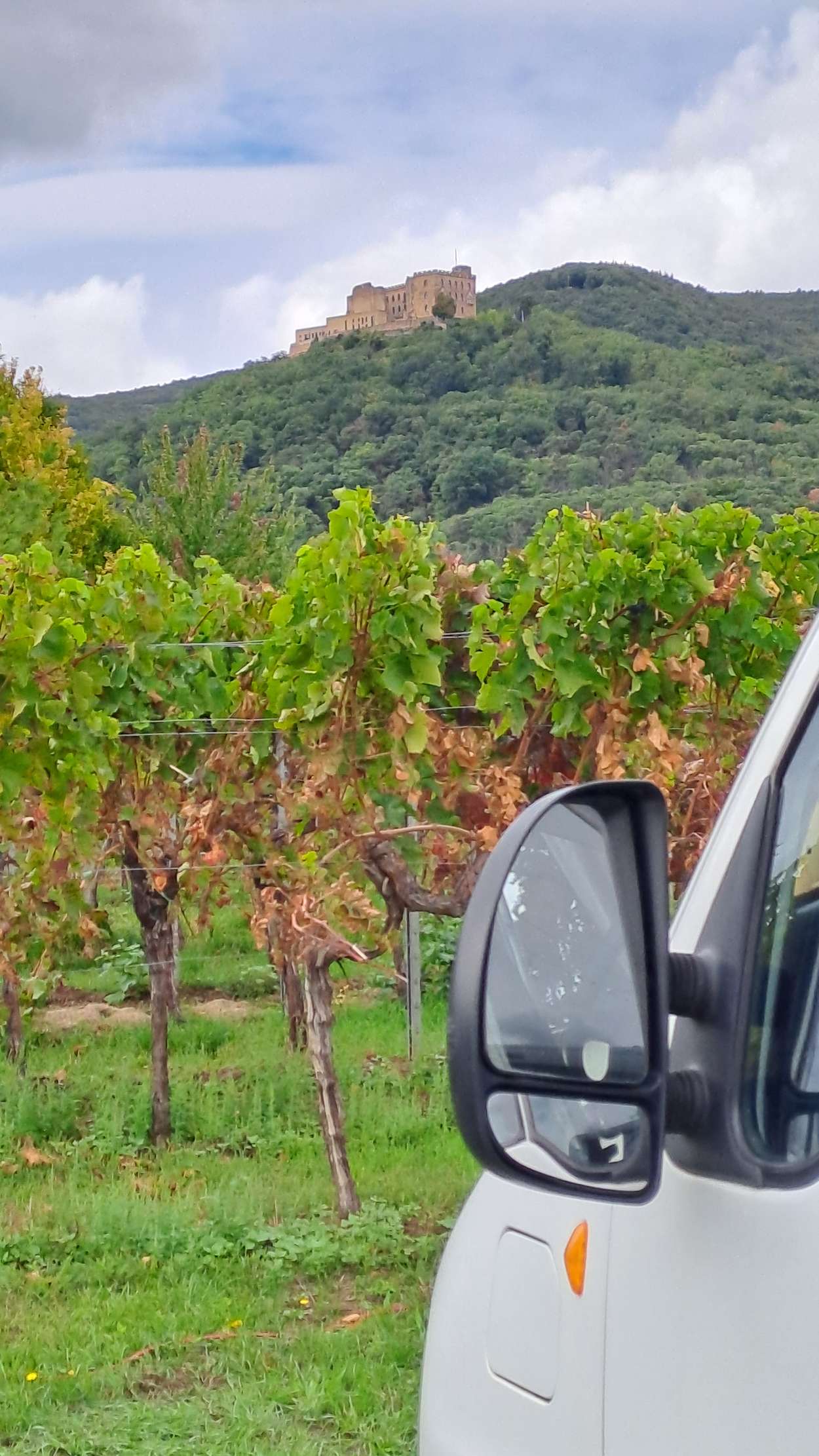 Weingut Wolfgang Hammer