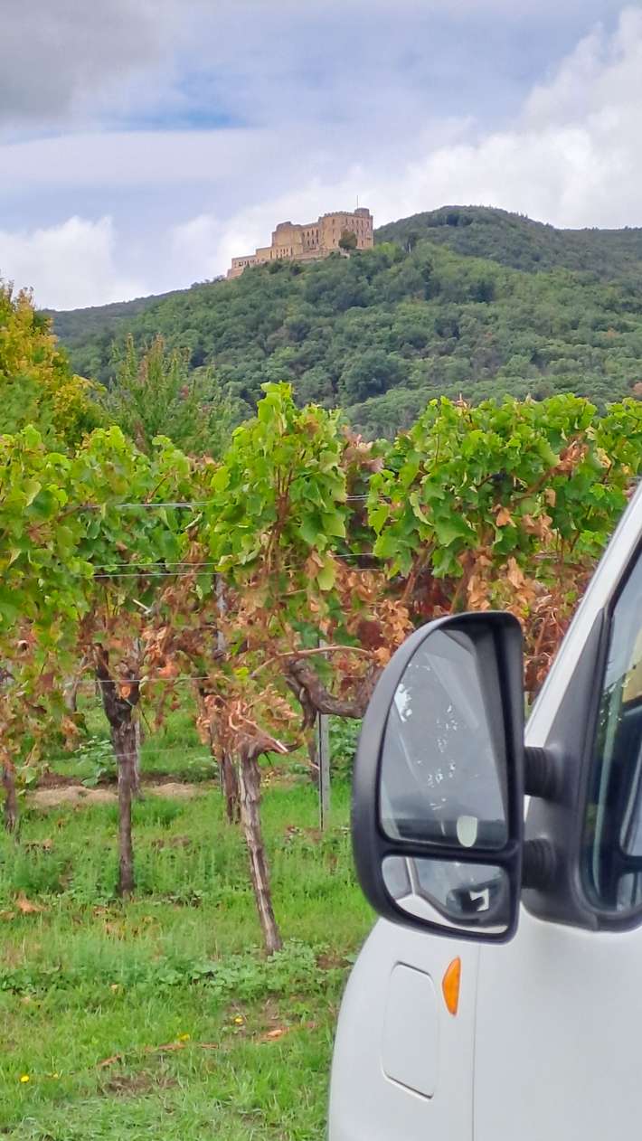 Weingut Wolfgang Hammer