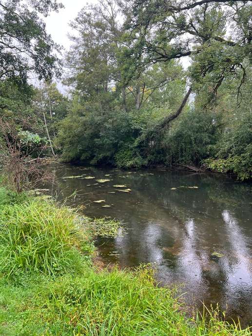 Een foto toegevoegd aan een locatie