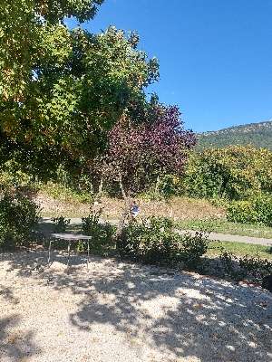 Aggiunta una foto a una posizione