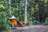 Natuurkampeerterrein Groesbeek - Photo 2