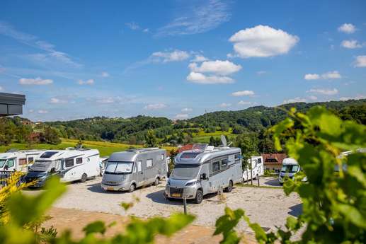 Wine Camp Hazic