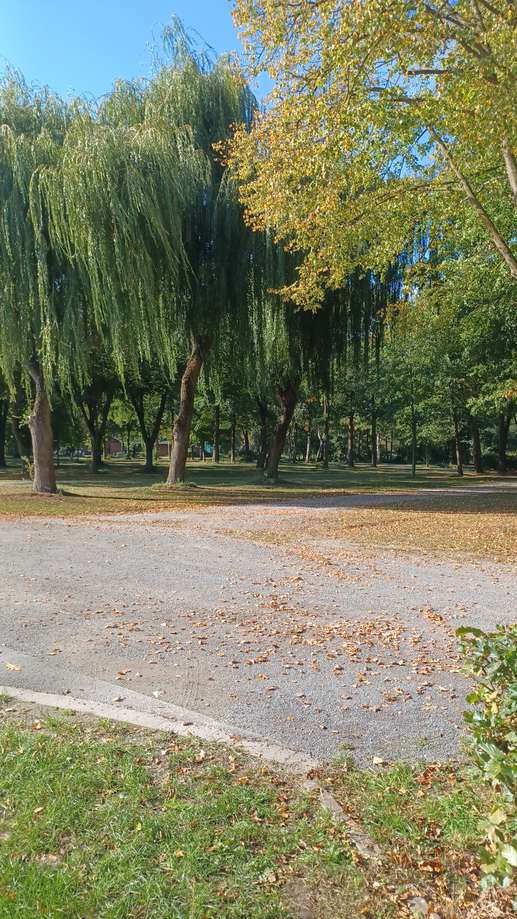 Added a photo to a location