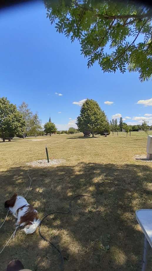 Added a photo to a location