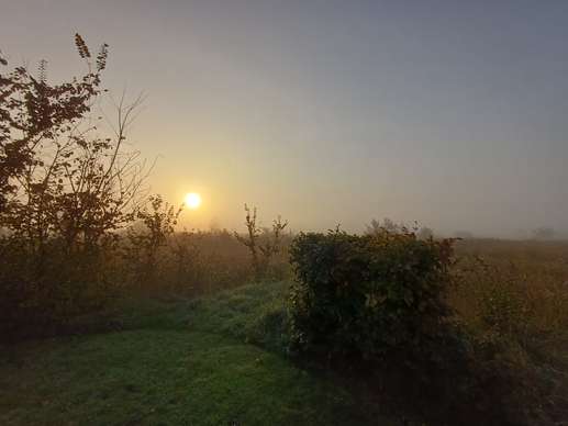 Added a photo to a location