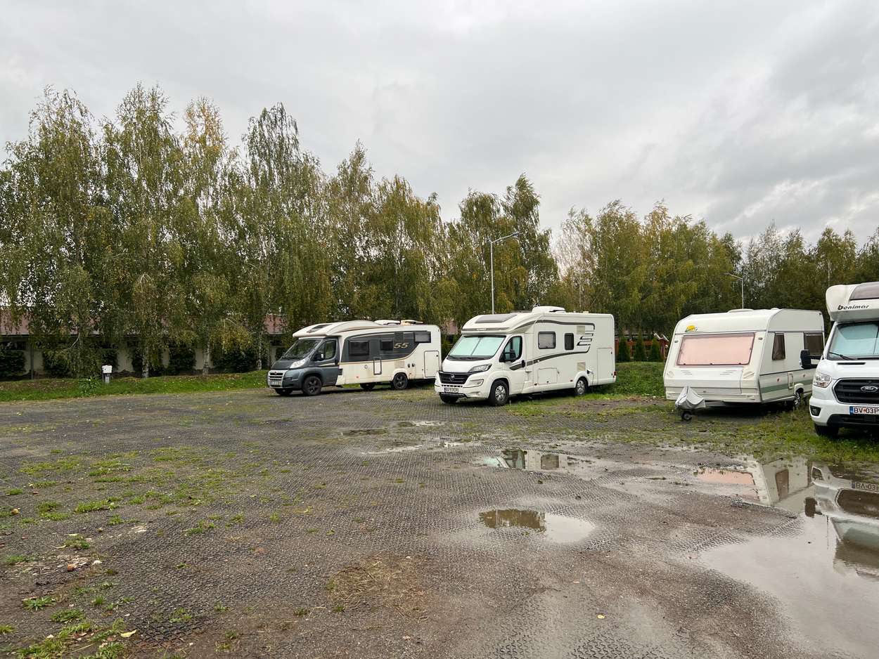 Clubul Sportiv Ecvestru 163 Plopi