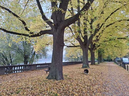 Een foto toegevoegd aan een locatie