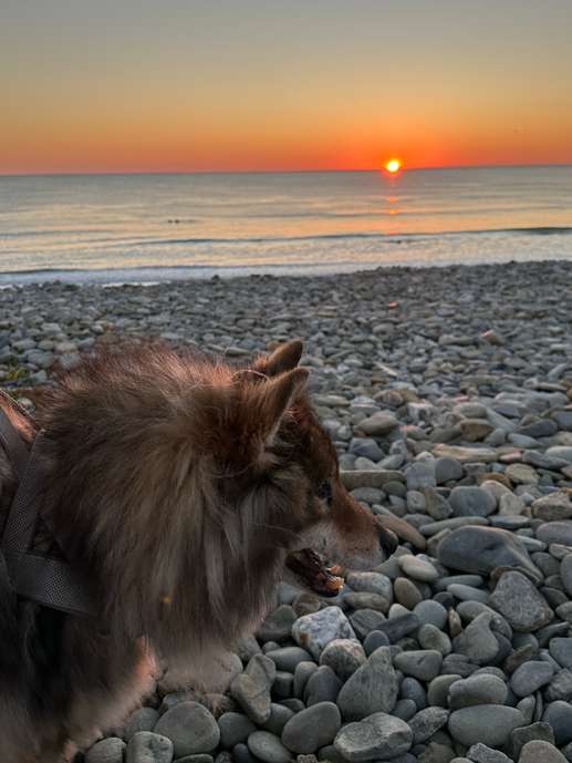 Aggiunta una foto a una posizione