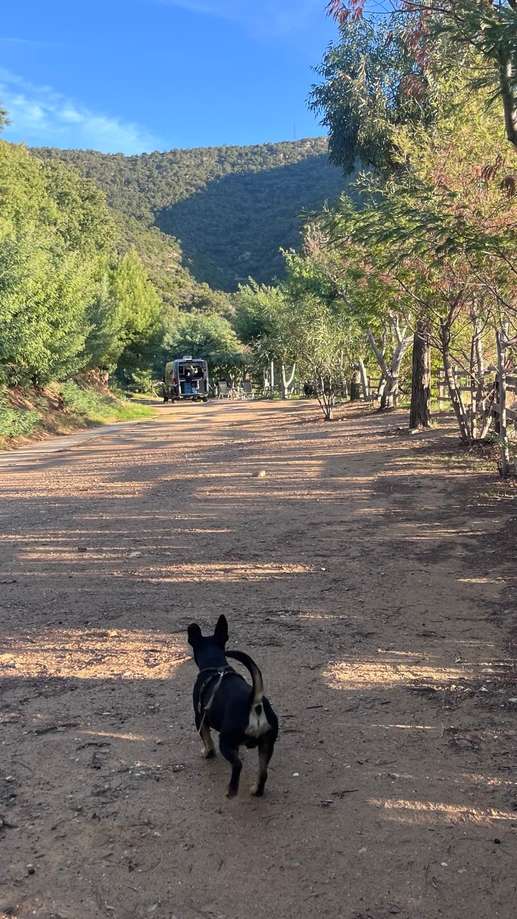 Aggiunta una foto a una posizione