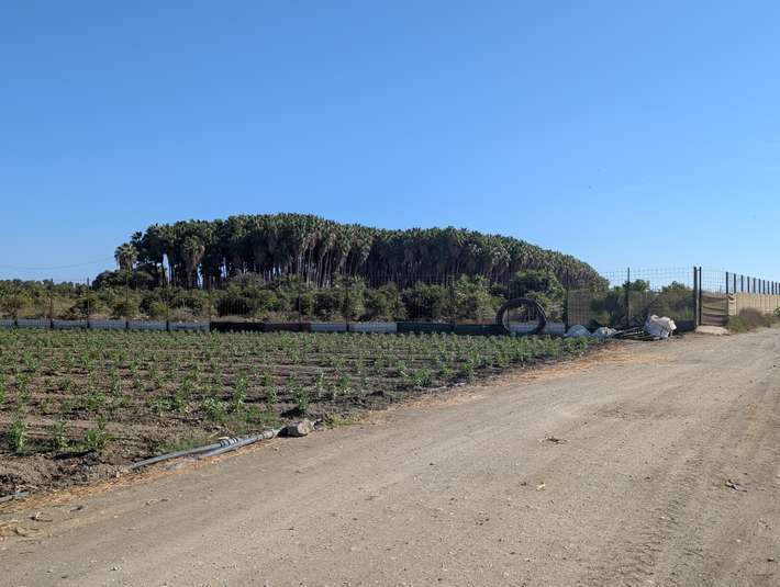 Campalmar Almayate