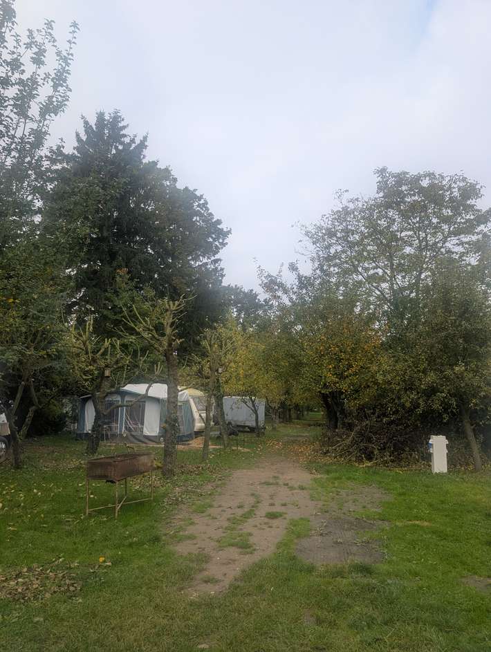 sonnensegel caravan BRUNNER Sonnensegel Markise Belveder Camping Bus Sonnendach Wohnwagen main image 1