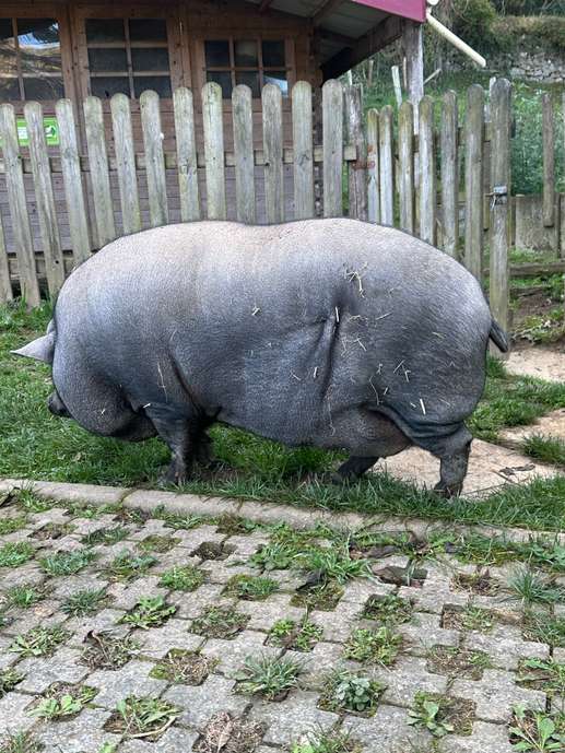 Einem Ort wurde ein Foto hinzugefügt