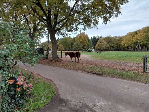 Een foto toegevoegd aan een locatie