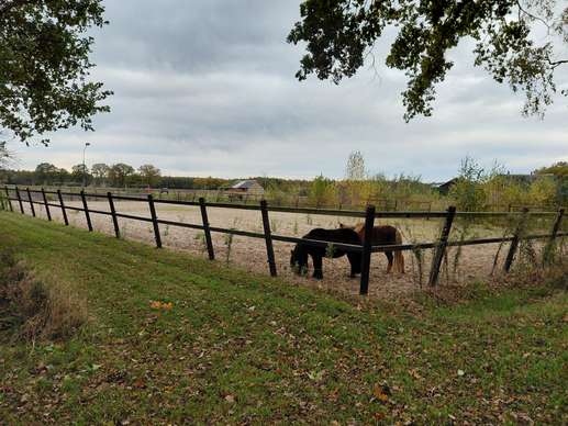 Een foto toegevoegd aan een locatie