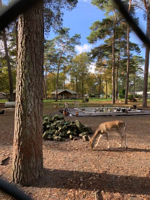 Een foto toegevoegd aan een locatie