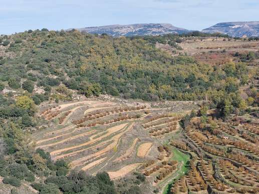 Aggiunta una foto a una posizione