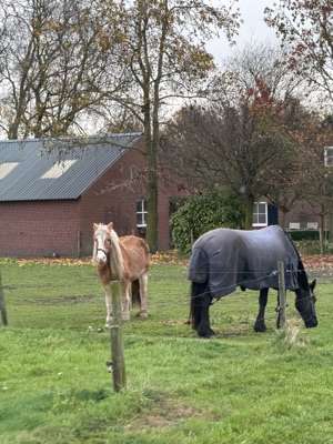 Een foto toegevoegd aan een locatie