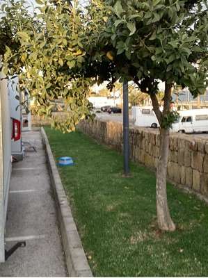 Added a photo to a location