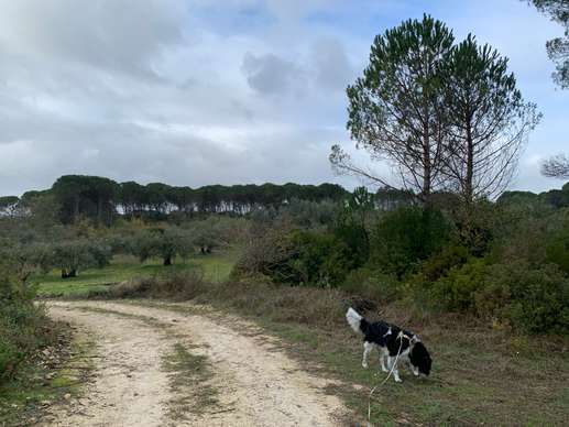 Aggiunta una foto a una posizione