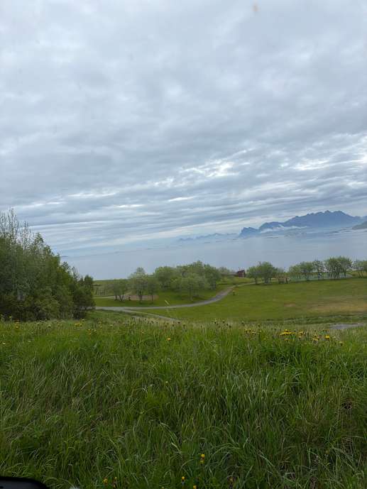 Added a photo to a location