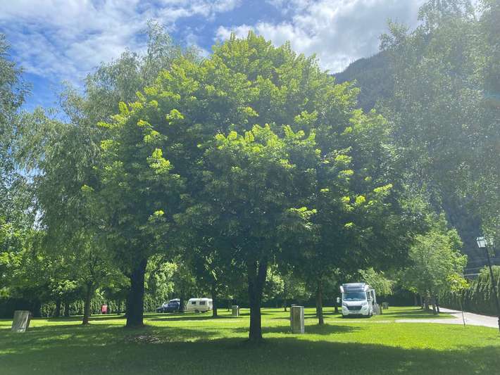 Dolomites Camping Amlacherhof