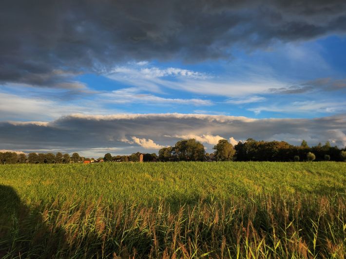 Camperplaats de Hannie Hoeve