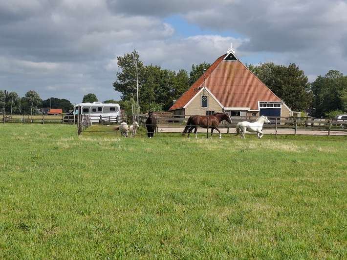 Camperplaats de Hannie Hoeve