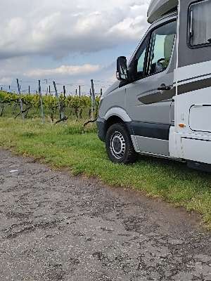 Weingut Valentin Ziegler Sohn