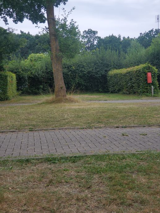 Einem Ort wurde ein Foto hinzugefügt