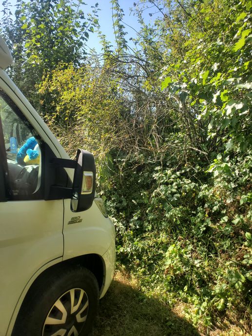 Einem Ort wurde ein Foto hinzugefügt