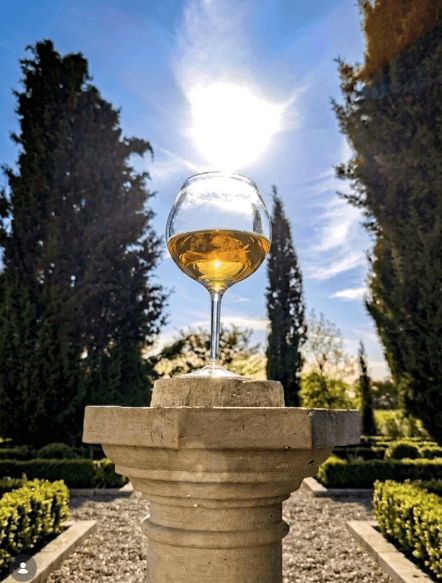 HFR - Wine Experiences & Memorable Events